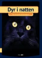 Dyr i natten