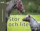 Stor och liten