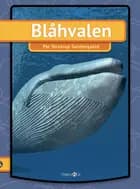 Blåhvalen