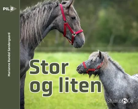 Stor og liten (norsk) af Marianne Randel Søndergaard