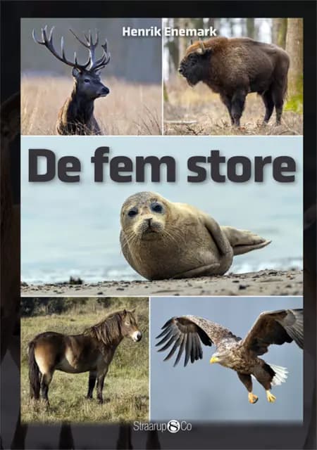 De fem store af Henrik Enemark