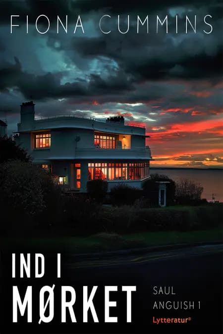 Ind i mørket af Fiona Cummins