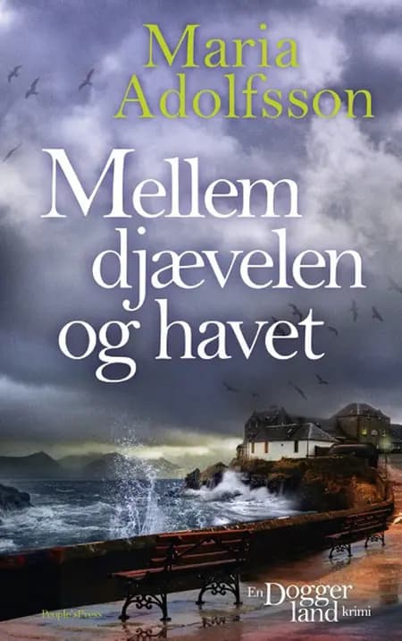 Mellem djævelen og havet af Maria Adolfsson