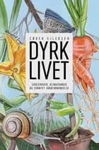 DYRK LIVET