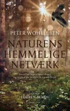 Naturens hemmelige netværk af Peter Wohlleben