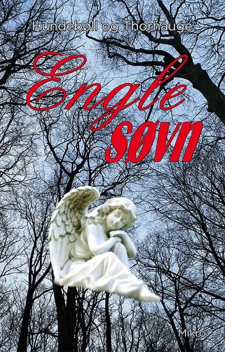 Englesøvn af Betina Hundebøll