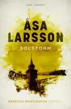 Solstorm