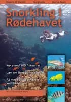 Snorkling i Rødehavet af Dennis Lisbjerg