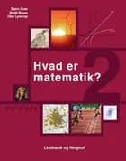 Hvad er matematik? 2