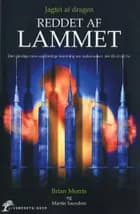 Jagtet af dragen, reddet af Lammet af Brian Morris og Martin Saunders