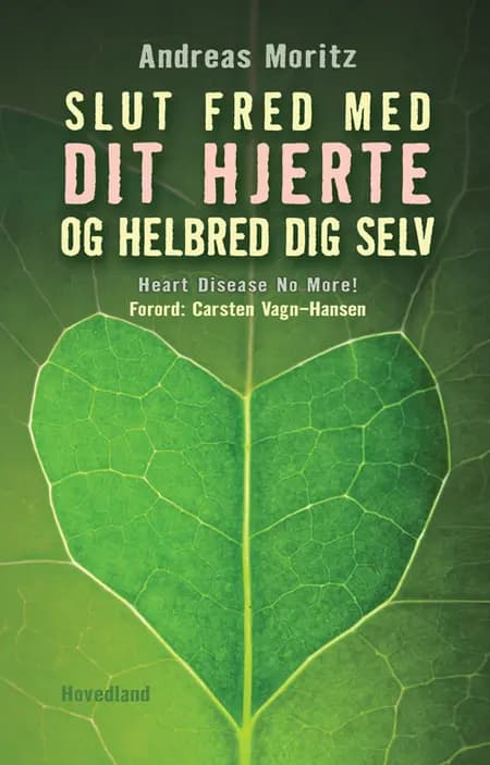 Slut fred med dit hjerte og helbred dig selv af Andreas Moritz