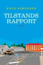 Tilstandsrapport
