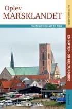Oplev marsklandet - fra Friedrichstadt til Ribe