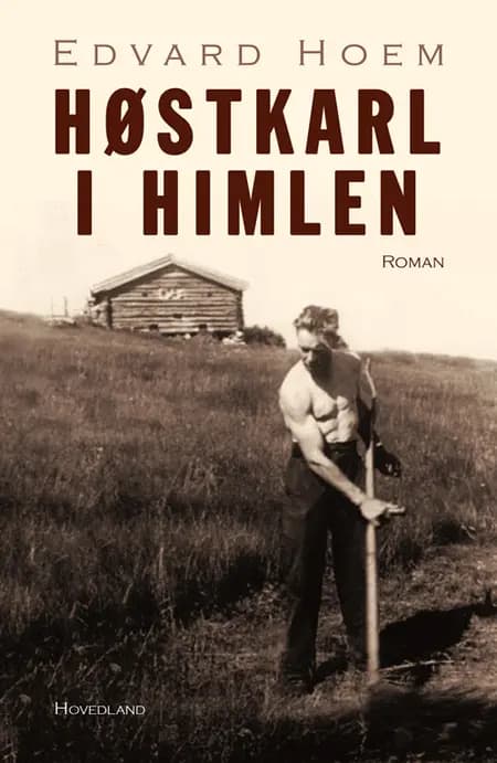 Høstkarl i himlen af Edvard Hoem