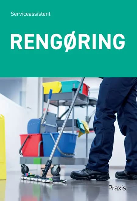 Rengøring af Serviceerhvervenes