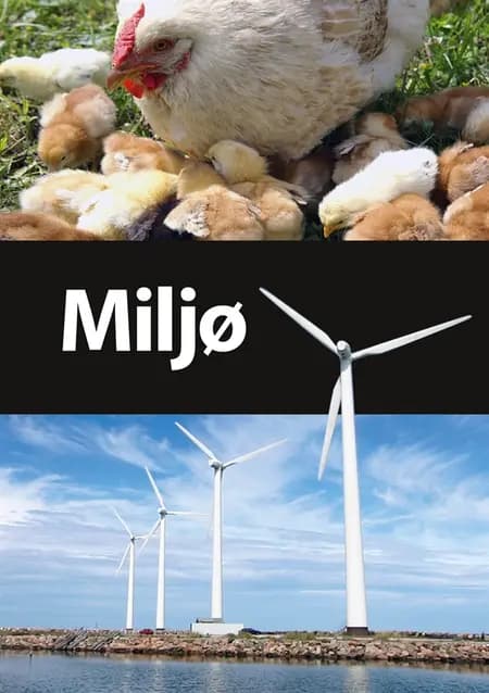 Miljø af Eva Simonsen