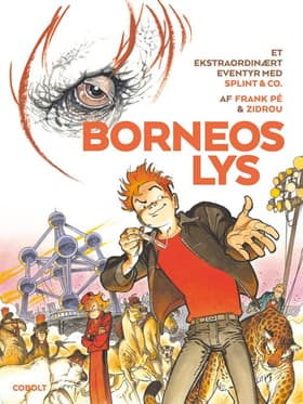 Borneos lys af Benoît Feroumont