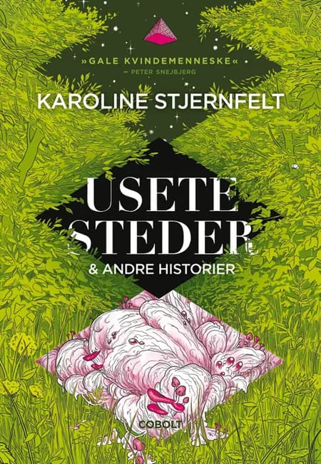 Usete steder af Karoline Stjernfelt