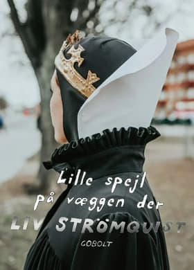 Lille spejl på væggen der af Liv Strömquist