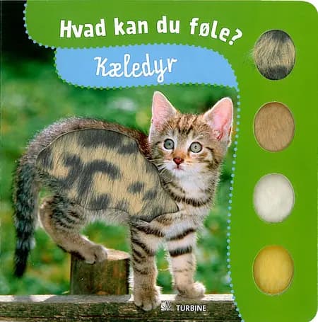 Kæledyr af undefined