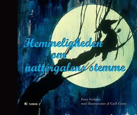 Hemmeligheden om nattergalens stemme af Peter Verhelst