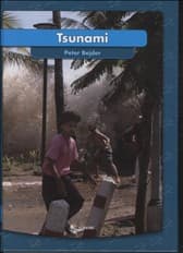 Tsunami af Peter Bejder