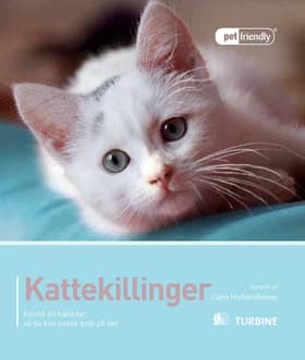 Kattekillinger af Claire Horton-Bussey
