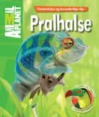 Pralhalse