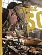 Stegeso af Claus Julius Holm