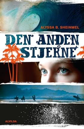 Den anden stjerne af Alyssa B. Scheinmel