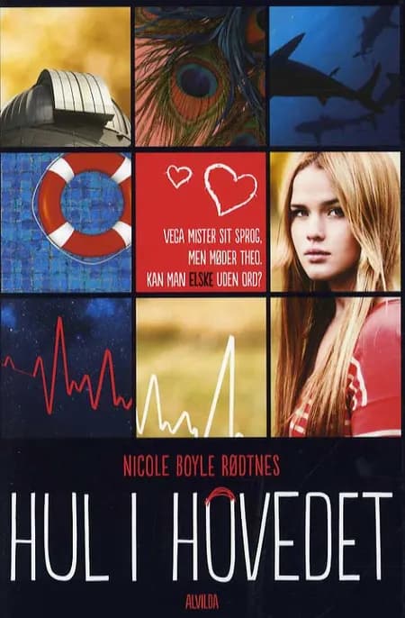 Hul i hovedet af Nicole Boyle Rødtnes