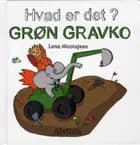 Hvad er det? Grøn gravko (sæt á 3 stk. Pris pr. stk. 49,95)