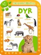 Dyr - 2-3 år