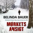 Mørkets ansigt af Belinda Bauer
