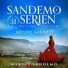 Sandemoserien 31 - Meldt savnet