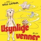 Usynlige venner