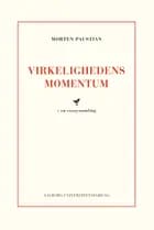Virkelighedens Momentum
