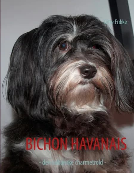 Bichon havanais af Gitte Frikke