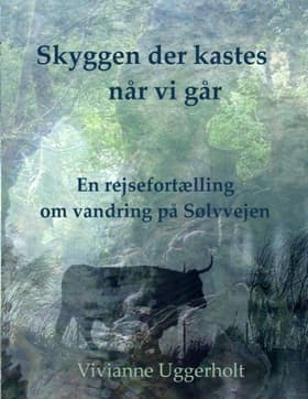 Skyggen der kastes når vi går af Vivianne Uggerholt