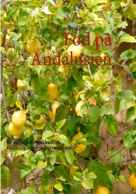 Fod på Andalusien af Else Byskov
