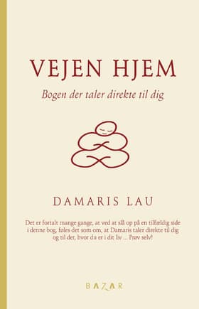 Vejen hjem af Damaris Lau