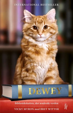 Dewey af Vicki Myron