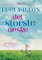 Det største ønske af Lucy Dillon
