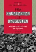 Fra snublesten til byggesten af Mogens Niss og Uffe Thomas Jankvist
