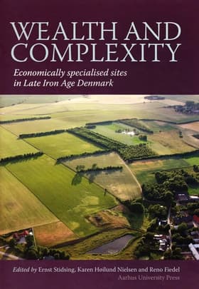Wealth and complexity af Karen Høilund Nielsen