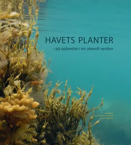 Havets planter af n a