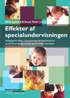 Effekter af specialundervisningen