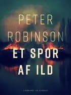 Et spor af ild
