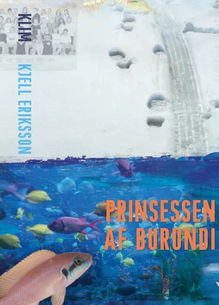 Prinsessen af Burundi af Kjell Eriksson