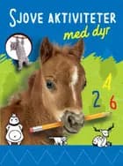 Sjove Aktiviteter med dyr - hest